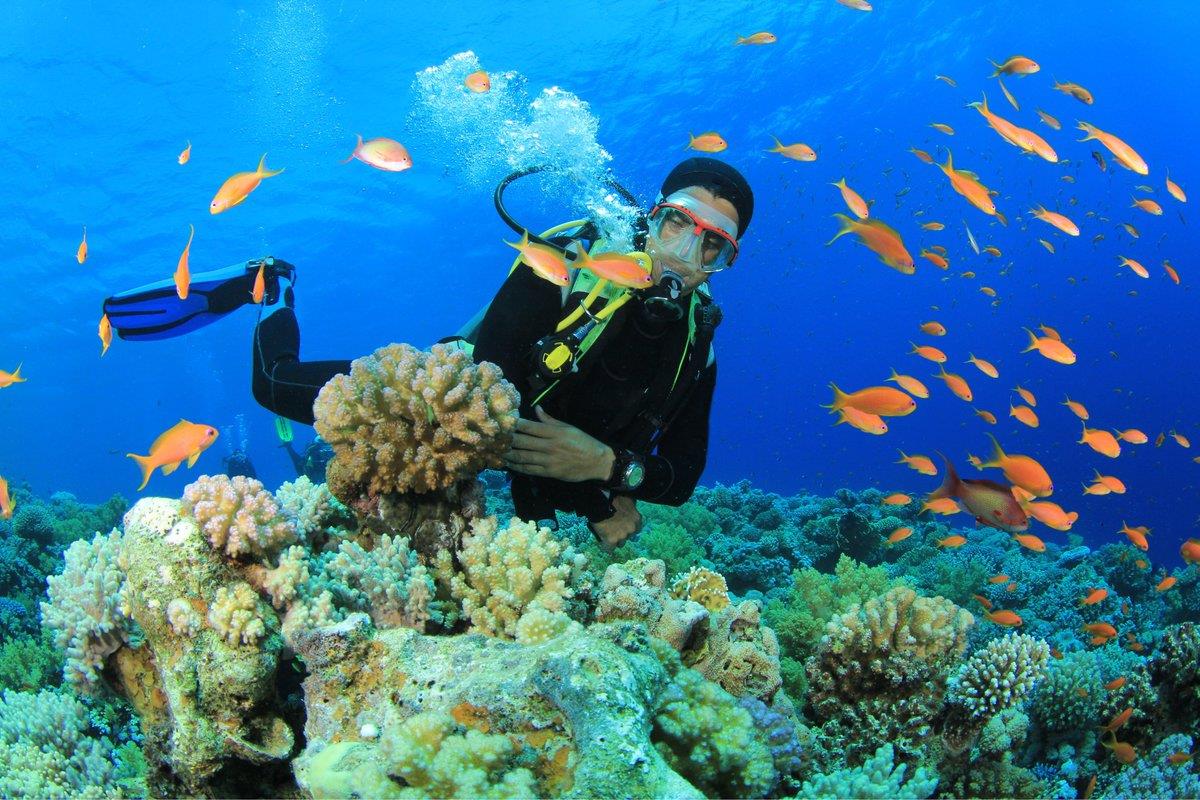 Đến Bình Ba thì đừng quên lặn biến ngắm san hô